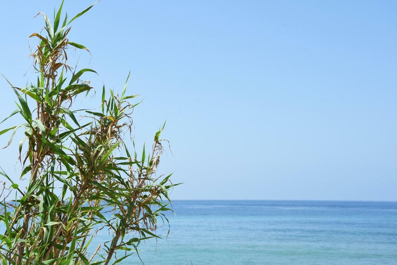 Casara Seis O Casara Siete - Tu Casa A 100M De La Playa De Zahora Vendégház Kültér fotó